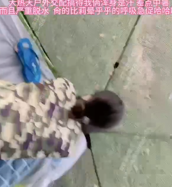 极品骚鸡-姬芭查比莉-付费新 野外交配仪式(1V,83M)